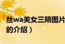 丝wa美女三陪图片（关于丝wa美女三陪图片的介绍）