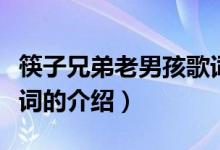 筷子兄弟老男孩歌词（关于筷子兄弟老男孩歌词的介绍）