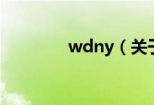 wdny（关于wdny的介绍）