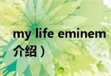 my life eminem（关于my life eminem的介绍）