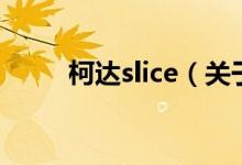 柯达slice（关于柯达slice的介绍）