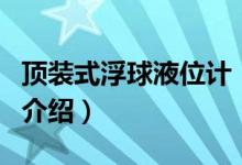 顶装式浮球液位计（关于顶装式浮球液位计的介绍）