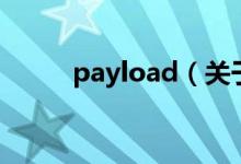 payload（关于payload的介绍）