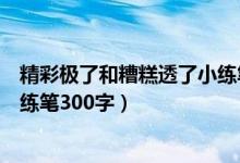 精彩极了和糟糕透了小练笔一段话（精彩极了和糟糕透了小练笔300字）