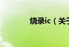 烧录ic（关于烧录ic的介绍）