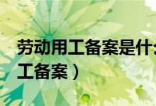 劳动用工备案是什么意思（nm12333劳动用工备案）