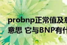 probnp正常值及意义（NT proBNP是什么意思 它与BNP有什么区别）