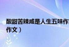 酸甜苦辣咸是人生五味作文400字（酸甜苦辣咸是人生五味作文）