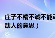 庄子不精不诚不能动人的意思（不精不诚不能动人的意思）