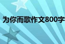 为你而歌作文800字初三（为你而歌的作文）