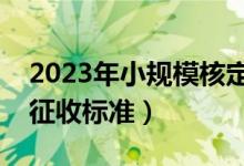 2023年小规模核定征收（小规模纳税人核定征收标准）