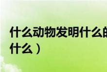 什么动物发明什么的过程（根据什么动物发明什么）