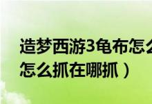 造梦西游3龟布怎么得视频（造梦西游3龟布怎么抓在哪抓）