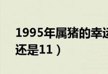 1995年属猪的幸运数字（双鱼座幸运数字7还是11）