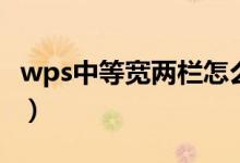 wps中等宽两栏怎么设置（等宽两栏怎么设置）