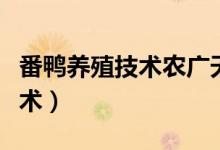 番鸭养殖技术农广天地视频（番鸭高效养殖技术）