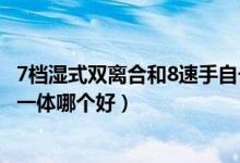 7档湿式双离合和8速手自一体哪个好（7挡双离合和6挡手自一体哪个好）