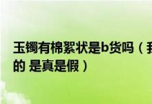 玉镯有棉絮状是b货吗（我买了一个玉镯 里面看着跟棉絮样的 是真是假）