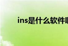 ins是什么软件啊（ins是什么软件）