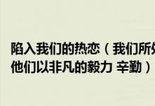 陷入我们的热恋（我们所处的社会中也有很多默默种树的人 他们以非凡的毅力 辛勤）