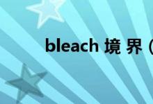 bleach 境 界（bleach什么意思）