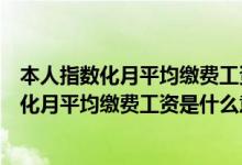 本人指数化月平均缴费工资是什么意思举例说明（本人指数化月平均缴费工资是什么意思）