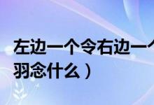 左边一个令右边一个羽（左边一个立右边一个羽念什么）