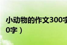 小动物的作文300字小兔子（小动物的作文300字）