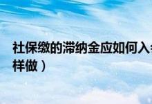 社保缴的滞纳金应如何入会计分录（社保滞纳金会计分录怎样做）