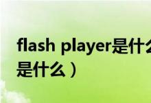 flash player是什么文件格式（flash player是什么）