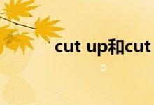 cut up和cut down（cut up）