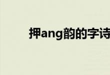 押ang韵的字诗句（押ang韵的字）