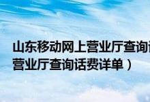 山东移动网上营业厅查询话费详单怎么查询（山东移动网上营业厅查询话费详单）