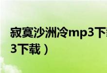 寂寞沙洲冷mp3下载无损版（寂寞沙洲冷mp3下载）