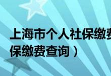 上海市个人社保缴费查询官网（上海市个人社保缴费查询）