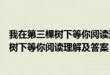 我在第三棵树下等你阅读理解及答案百度文库（我在第三棵树下等你阅读理解及答案）