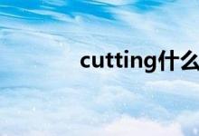 cutting什么意思（cutting）