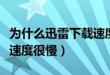 为什么迅雷下载速度这么慢（为什么迅雷下载速度很慢）