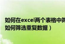 如何在excel两个表格中筛选出重复的数据（两个excel表格如何筛选重复数据）