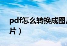 pdf怎么转换成图片jpg（pdf怎么转换成图片）