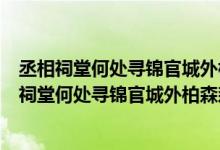 丞相祠堂何处寻锦官城外柏森森诗句中的丞相指的是（丞相祠堂何处寻锦官城外柏森森）