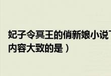 妃子令冥王的俏新娘小说下载（和妃子令 冥王的俏新娘小说内容大致的是）