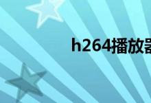 h264播放器（h264文件）