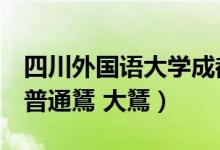 四川外国语大学成都学院（普通鵟 四川成都 普通鵟 大鵟）