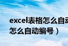 excel表格怎么自动编号12345（excel表格怎么自动编号）