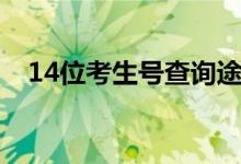 14位考生号查询途径（14位考生号查询）