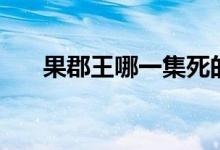 果郡王哪一集死的（果郡王怎么死的）