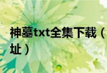 神墓txt全集下载（极品仙瞳的txt全集下载地址）