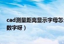 cad测量距离显示字母怎么办（cad测量距离为什么不显示数字呀）