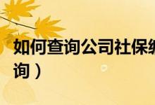 如何查询公司社保编号（公司社保单位编号查询）